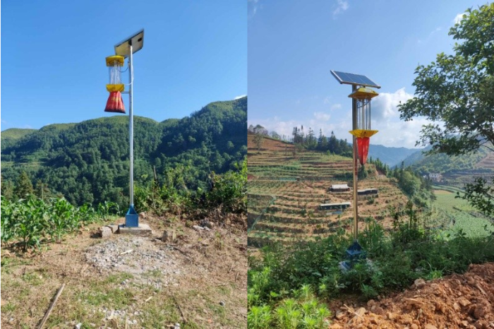 Okuchi after-sales personnel conducted a spring inspection of 1000,<> insecticidal lamps in Ma