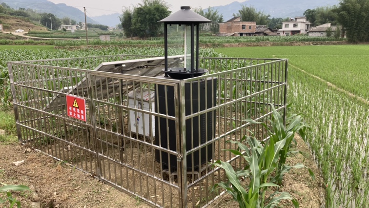 Okeqi IoT intelligent insect detection lamp helps Sichuan Yibin pest monitoring, prevention and cont