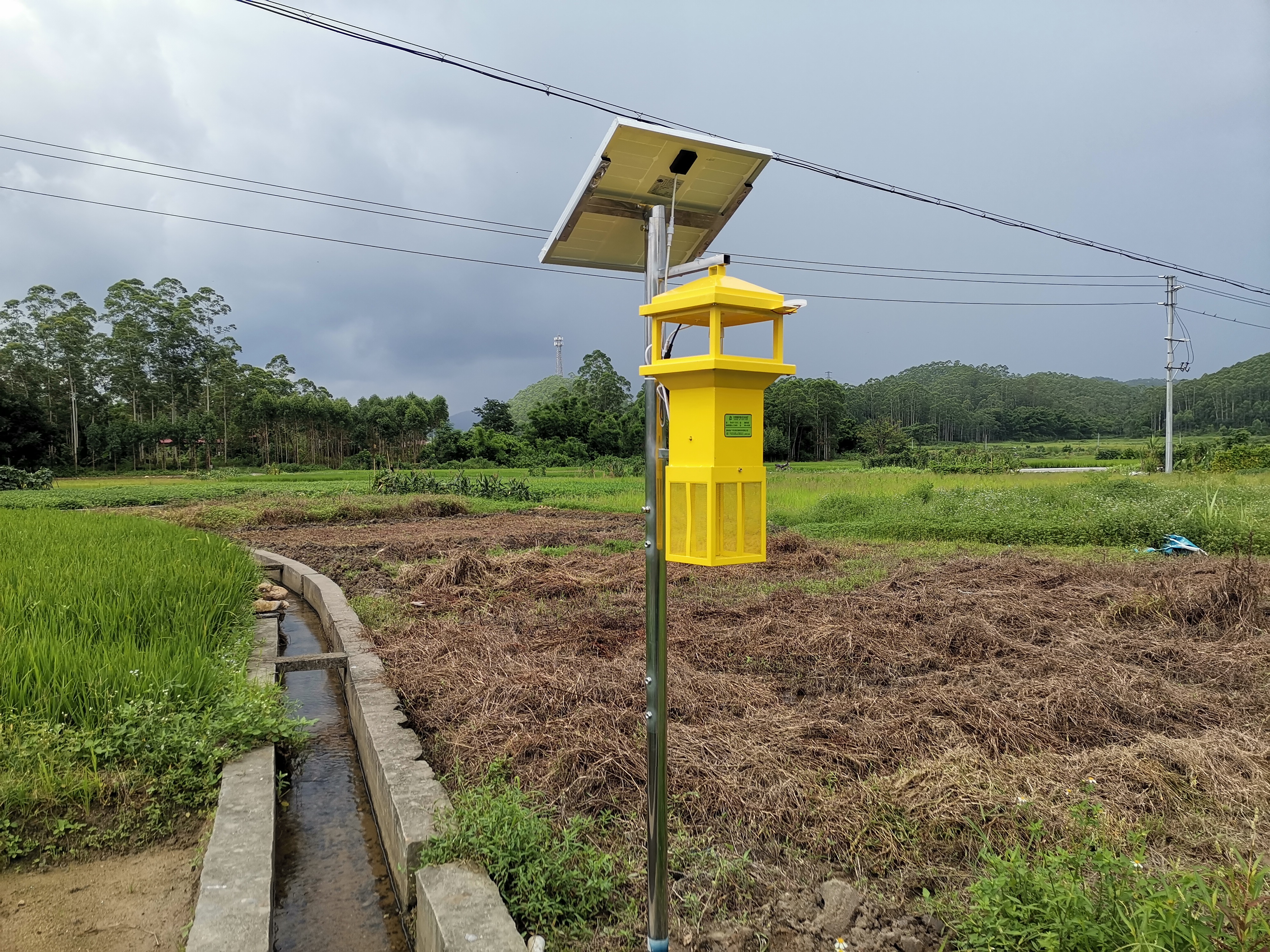 Okeqi wind insecticidal lamp entered the tea garden to achieve green prevention and control