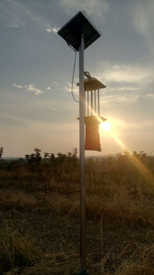 Hubei Zhijiang multiple solar insecticidal lamps were installed