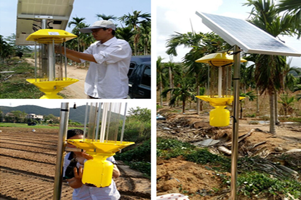 Okchi insecticidal lamps guard thousands of acres of high-efficiency tropical fruit industrial park