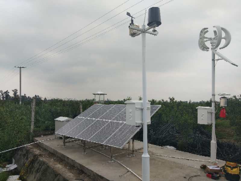 The Okchi pest remote monitoring system settled in Chengdu family farm